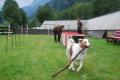 Hundespielplatz