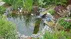 Der Teich