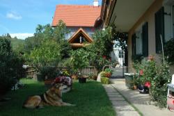 Blick vom Privathaus auf das Gästehaus
