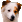 Fewwohund.de